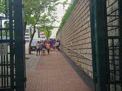 -九龙公园