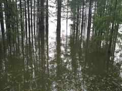 -恋山坝上草原