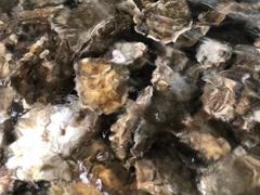 -兆辉木炭海鲜烧烤·海鲜小炒