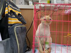 -联合动物医院(光谷诊疗中心)