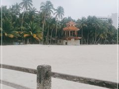 -东郊椰林