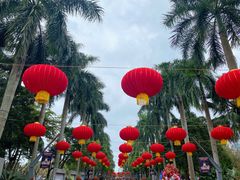 -万绿园