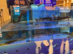 -同喜烤鸭店(光芒店)