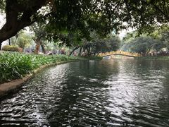 -晓港公园