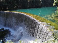 -1973继光香香鸡(曲阳路店)