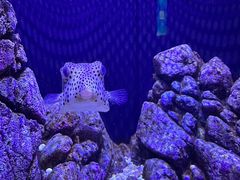 -成都浩海立方海洋公园