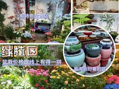 -双季花艺园艺市场(浦东店)