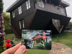 -金山农民画村-枫泾波兰倒置屋