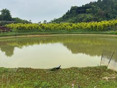 -西南政法大学(渝北校区)