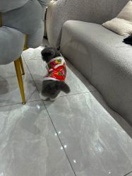 -Mei酱の店美甲美睫