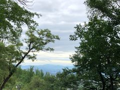 -阳台山自然风景区