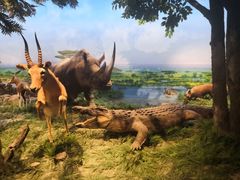 -国家自然博物馆