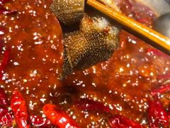 -大龙燚火锅(春熙店)