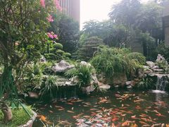 -融侨大酒店-榕苑自助餐厅