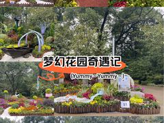 -南山植物园