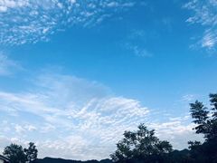 -佬土鹅肠火锅(解放路店)