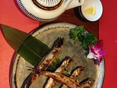 -石葵(锦业时代店)