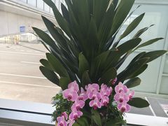 -青岛胶东国际机场