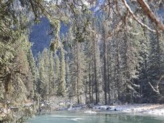 -白马王朗自然风景区