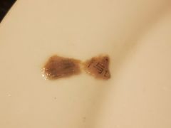 -舌尖上的食缘花园主题餐厅
