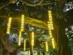 -横店影视城梦幻谷园区