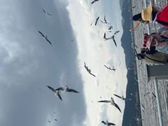 -昆明洲际酒店