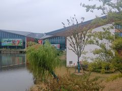 -上海长兴岛郊野公园