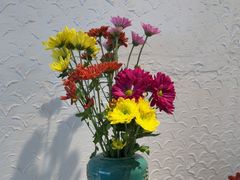 -爱丽格斯火锅(东岸国际店)