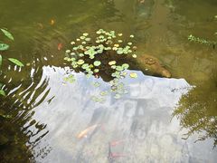 -桂林喜来登饭店雅琴餐厅