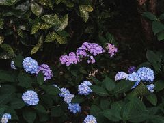 -常州古运河南大街文化旅游区-人民公园