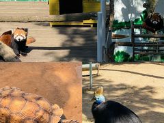 -西霞口神雕山野生动物世界