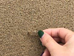 -普陀山风景名胜区-千步大沙