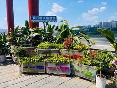 -磁器口古镇