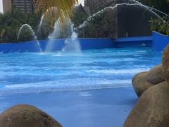 -亚马逊丛林水乐园