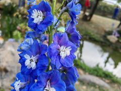 -人民公园(罗湖区)