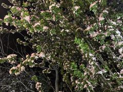 -伊隆斋(什刹海店)