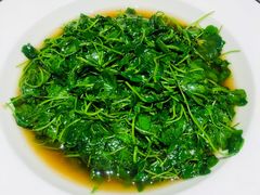 金花菜-欣旺·迎宾楼·百年无锡菜