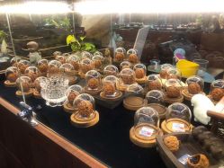 -灵彩珠宝(朗香街店)