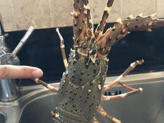 -拉威海鲜市场