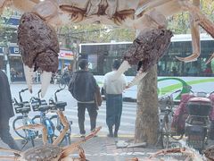 -新花城蟹粉馆(乌鲁木齐店)