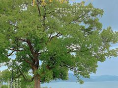 -东钱湖旅游度假区