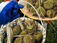 -楠溪江风景名胜区