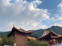-深圳仙湖植物园