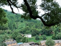 -杨家堂村