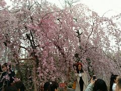 -西安青龙寺遗址景区