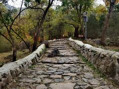 -阳台山自然风景区