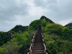 -大岭沟猕猴桃谷风景区