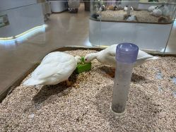 -小象动悟公园(龙湖亦庄天街店)