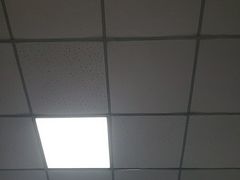 -西塔大冷面(三好街店)
