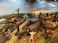 -陕西自然博物馆